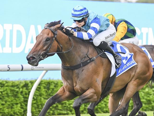 Matter Of Honour will chase consecutive city wins at Randwick. Picture: Bradley Photos.