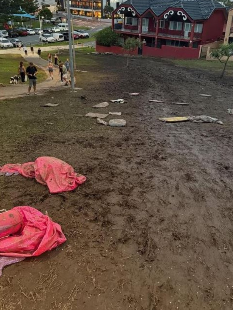 A Gold Coast woman expressed her disgust at the mess left by locals who slid down a muddy North Burleigh Hill. Picture: Instagram/@gypsysoulloverx