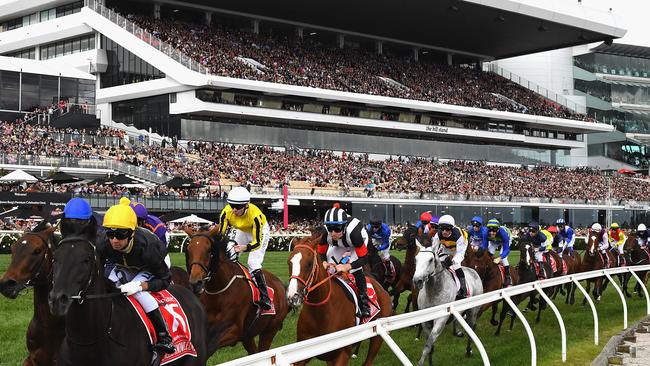 Excess Knowledge leads the field out of the straight in the Melbourne Cup.