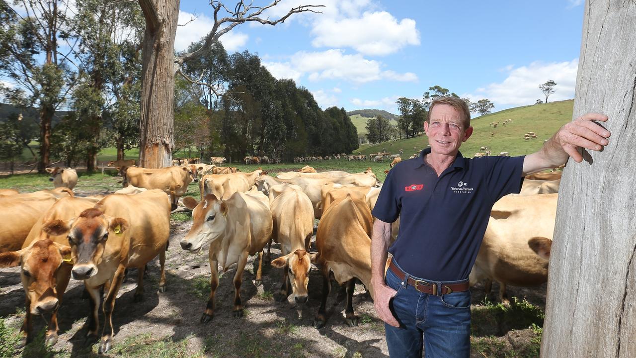 Paul Mumford, president of United Dairyfarmers of Victoria. Picture: Supplied