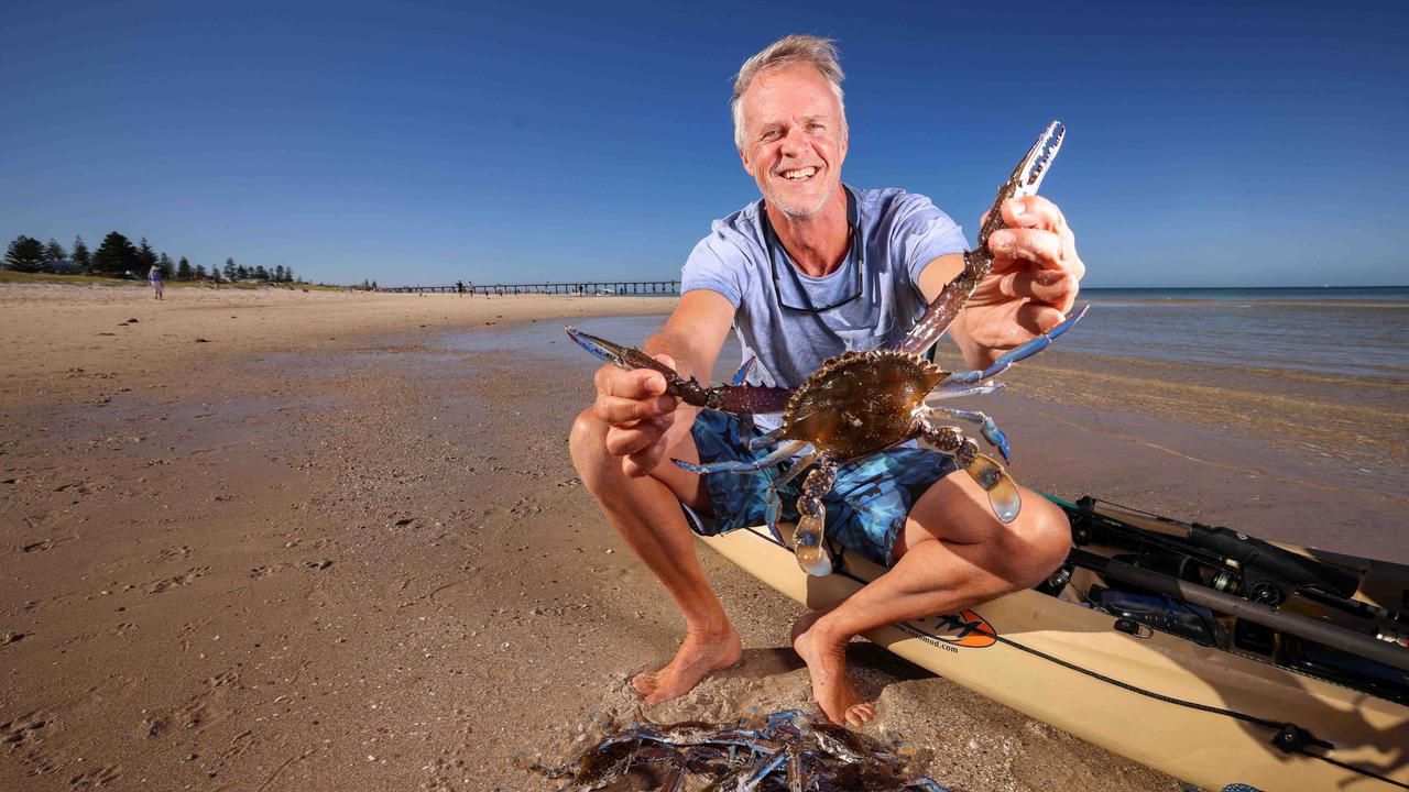 Sand Crab  Fishing Tasmania