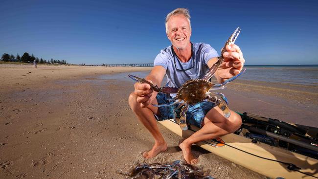 Andy Burnell, 56 of Tennyson holding up a Blue Swimmer crab he just caught off Grange. Picture: Russell Millard