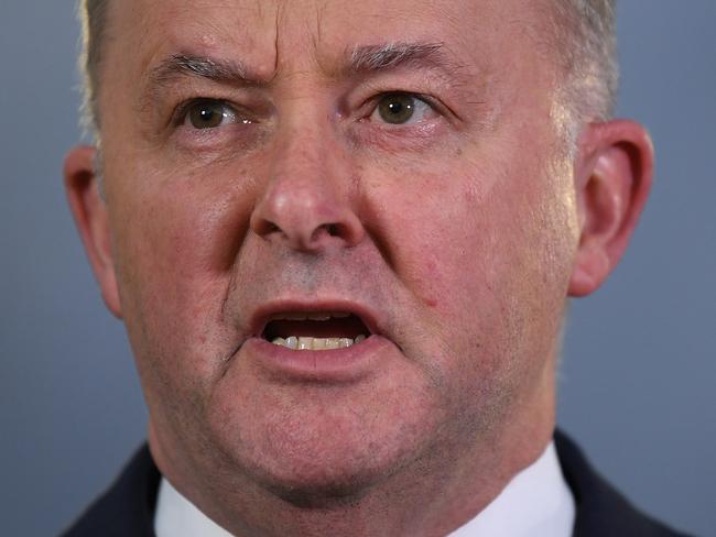 Labor Member for Grayndler Anthony Albanese speaks to the media at Henson Park in Marrickville, Sydney, Wednesday, May 22, 2019. (AAP Image/Joel Carrett) NO ARCHIVING