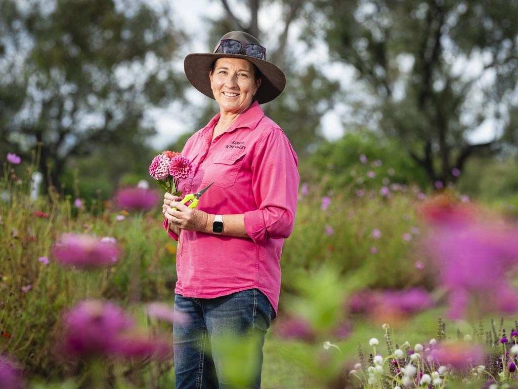 Karinya in the Valley owner Kym Briese as the Helidon flower farm host a pick your own summer blooms session, Saturday, January 4, 2025. Picture: Kevin Farmer