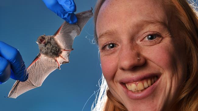 Emmi Van Harten and her southern bent-wing bat. Picture: Tony Gough