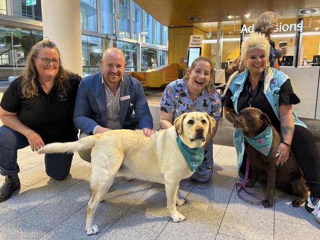 Lisa Farrall co-founder Therapy Paws, Domian Broomhall health department, Alice Barrett nurse, Vanessa Ward Therapy Paws with Lewy (left) and Chilli.