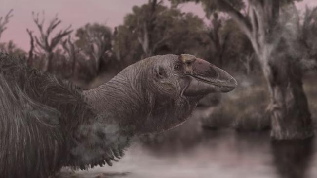 A scientific depiction of what Genyornis newtoni may have looked like. Picture: Flinders University