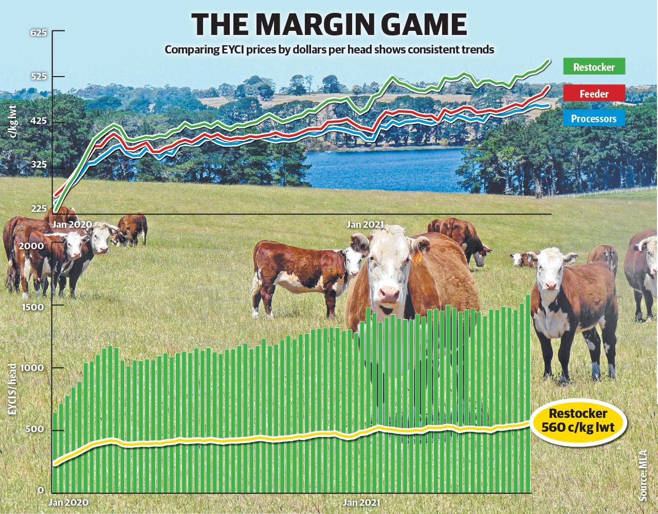 Cattle Market Analysis: Margins Producers Make Show True Cost | The ...