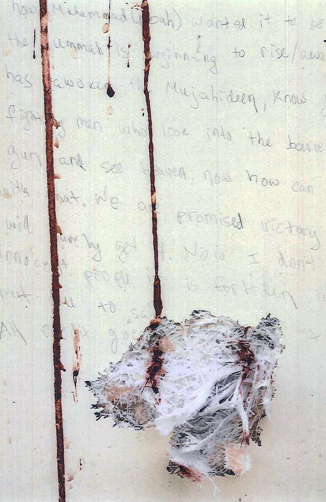 Boston Bomber: What Dzhokhar Tsarnaev Wrote Inside Boat | News.com.au ...