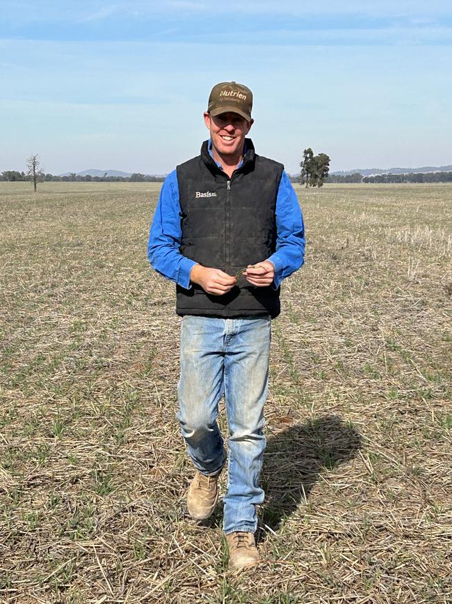 Ben Langtry of Marrarvale Pastoral Company at Marrar inspects a crop of barley. Picture: Nikki Reynolds