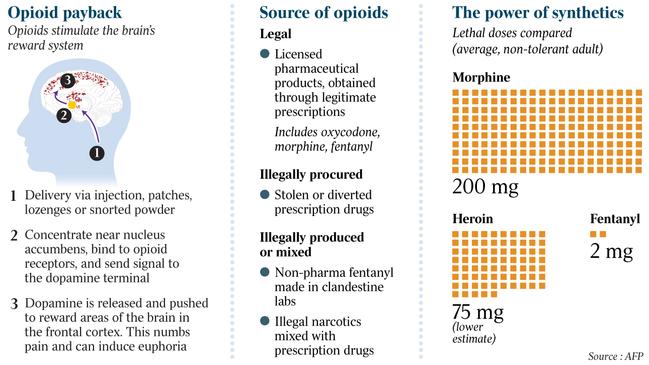 TAUS INQUIRER GRAPHIC OPIOID PAYBACK