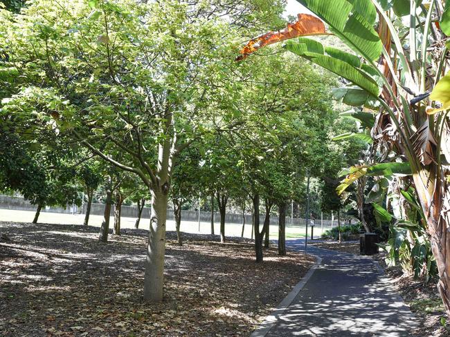 SYDNEY, AUSTRALIA - NewsWire Photos , November 14, 2021: General view of Yurong Parkway  after teenage boy was stabbed at Woolloomooloo. Picture: NCA NewsWire / Flavio Brancaleone