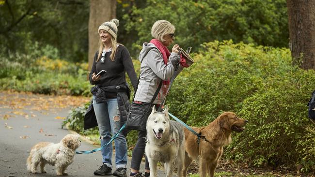 Million Paws Walk in the Adelaide Botanic Gardens, Sunday, May 28, 2023. Picture: Matt Loxton