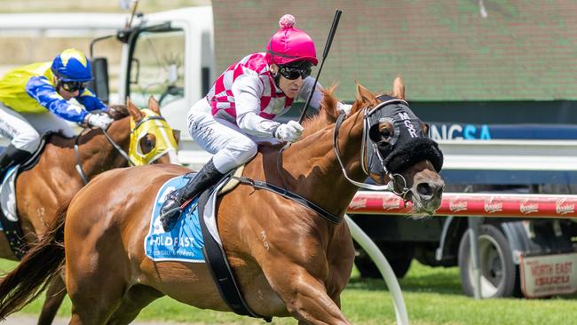 Jason Holder pilots Arugamama to victory at Gawler in December. Picture: Makoto Kaneko