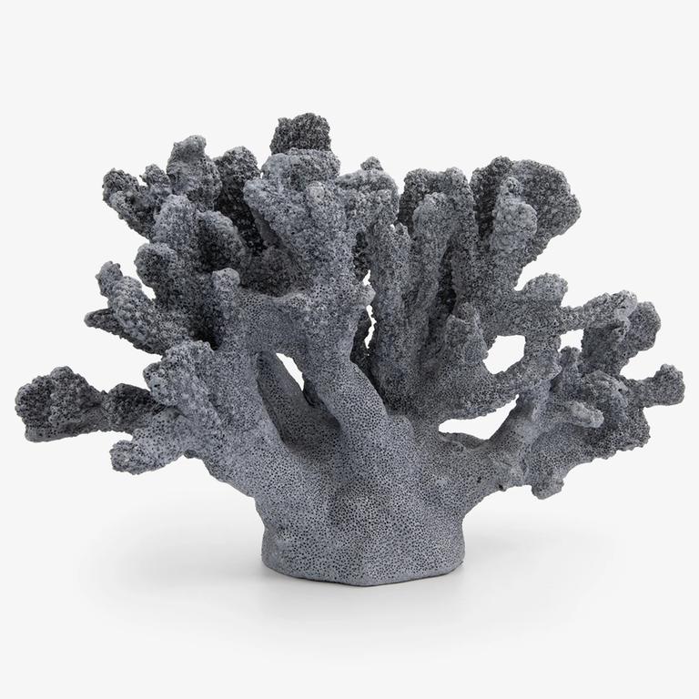 Coral sculpture