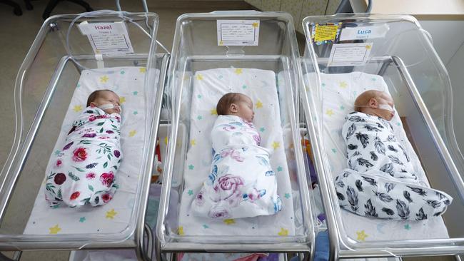 Forest Gardens couple Lindsay and Simon Fernandez are now the proud parents of Hazel, Willow and Luca Fernandez. The triplets were born at the Townsville hospital in October, two-months premature, and are now at the Cairns Hospital's special care nursery. Picture: Brendan Radke