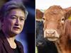 ‘Great first step’: Cattle farmers want beef next on China’s menu