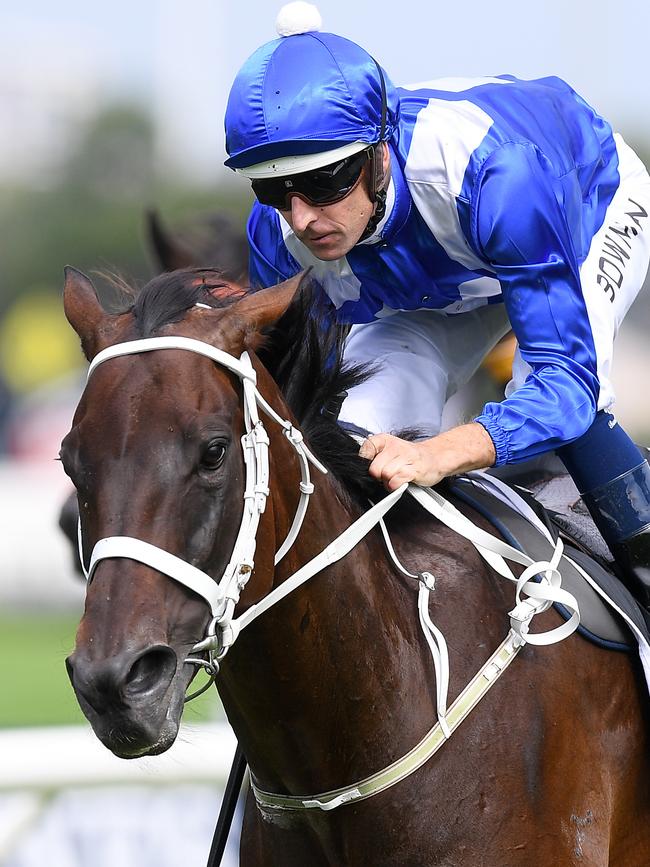 Winx won more than $26m during her illustrious career. Picture: AAP