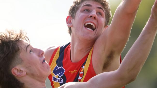 Sturt ruckman Alex Dodson in action for South Australia at the AFLunder-18 national championships. Picture: Cory Sutton