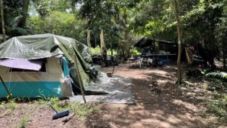 Photos from a drug raid at Schirmers Rd at Ilbilbie on February 17 where police allegedly found about 800 marijuana plants, weapons and explosives. Picture: Queensland Police Service