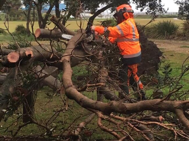 A Randwick City SES volunteer cuts up a fallen tree.