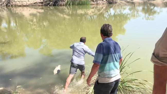 I felt so sick that I panicked and jumped in the river to escape it”. Picture: Office of Jeremy Buckingham MLC