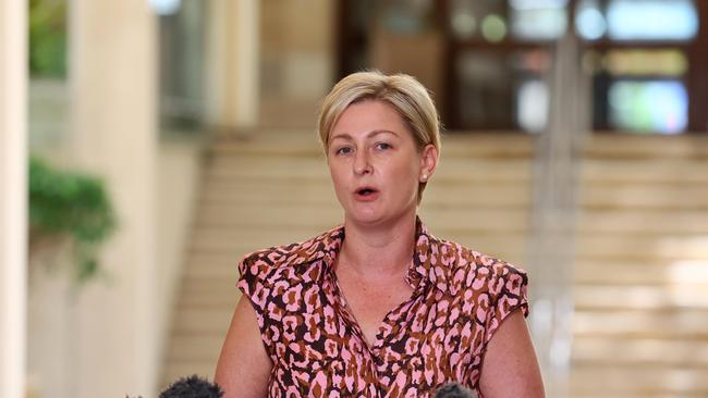 Queensland Minister for Child Safety Amanda Camm said that all the election commitments her government had made were being “fed through” the budget process.