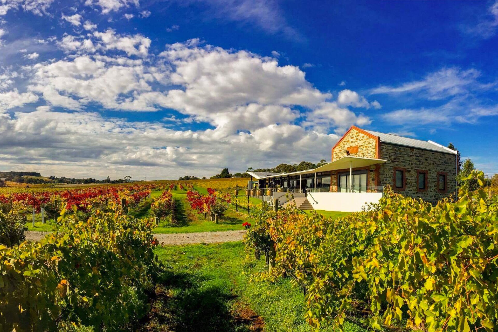 The Best Wineries To Hit For The Ultimate McLaren Vale Wine Trip