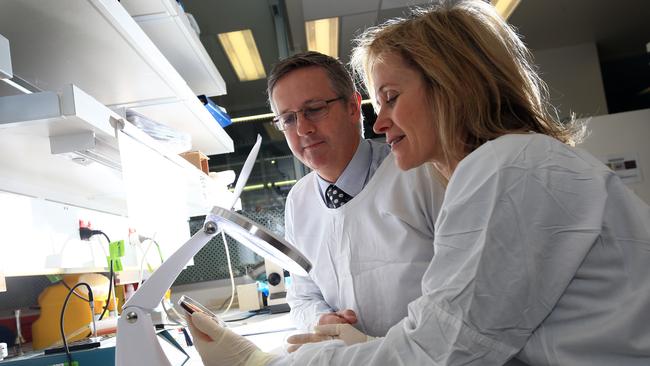 Researchers in the Doherty Centre for Infection and Immunity Professor Ben Howden and Professor Sharon Lewin. Picture: Alex Coppel.