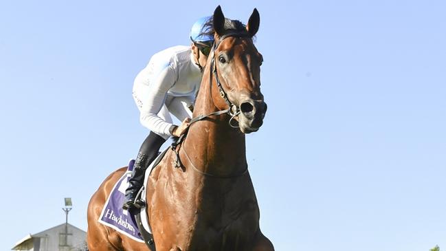 Private Harry wins the Benchmark 64 Handicap by seven lengths at Hawkesbury on November 21, 2024. Picture: Bradley Photos