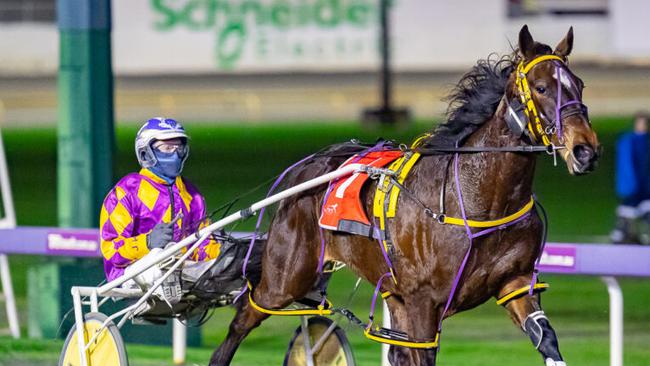 Never Ending in full flight at Gloucester Park Picture: Pacepix