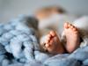 Monash IVF cuts profit guidance after embryo mix up