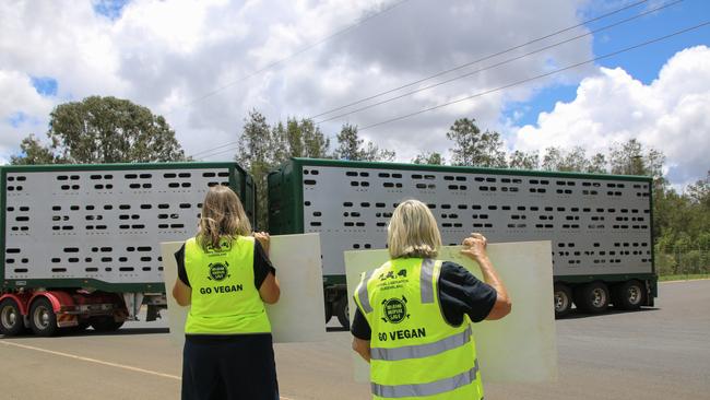 Animal activists target Swickers pig abattoir in Kingaroy, Dec 15, 2020. The group, which includes some locals, is part of Brisbane Animal Save and have protested at the site in previous years.