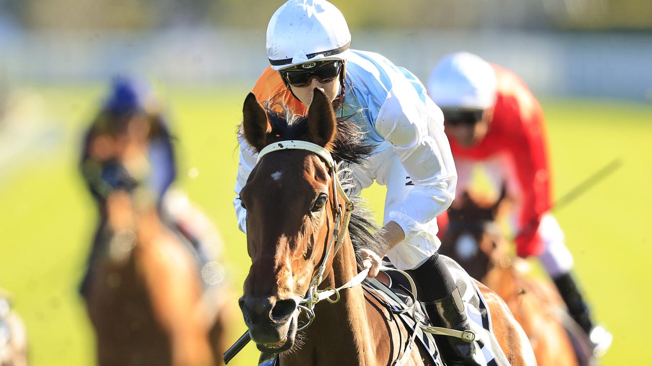 Montefilia will make a return in the Surround Stakes this weekend. Picture: Mark Evans/Getty Images