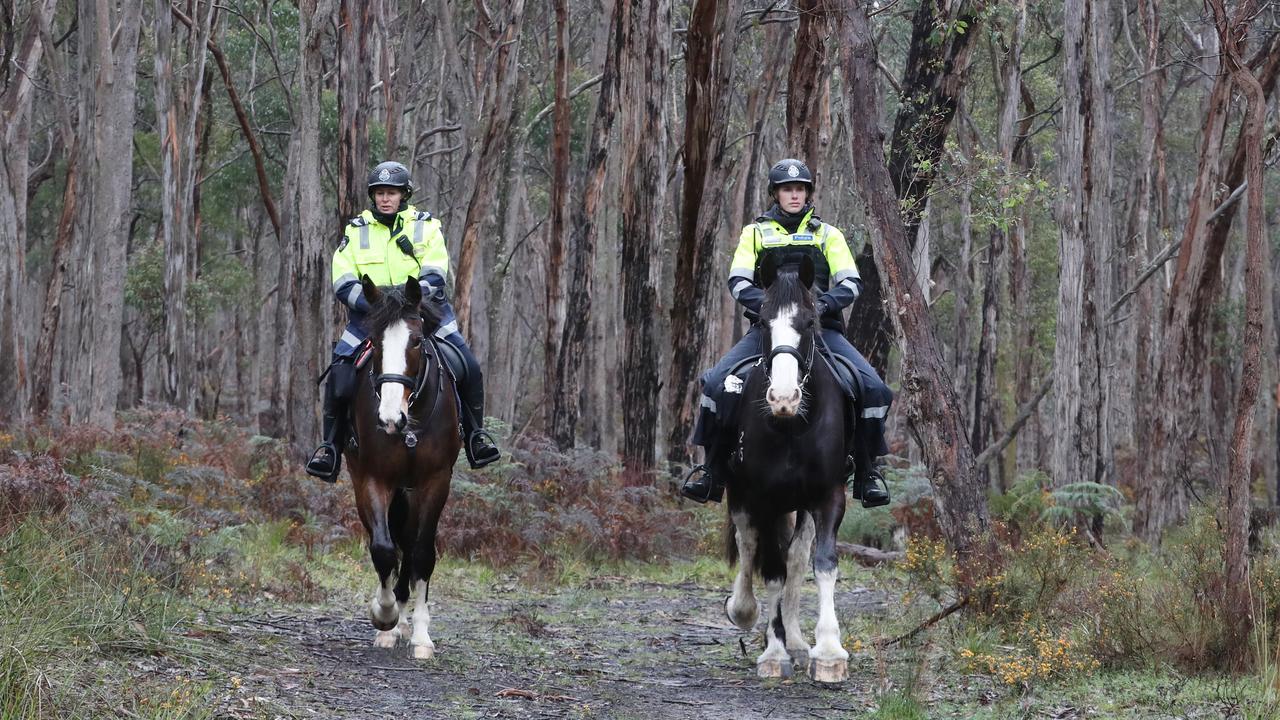 About 45 searchers were in the bush this week. Picture: NewsWire/David Crosling