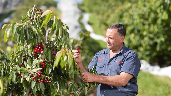 Ceravolo Orchards' Tony Ceravolo