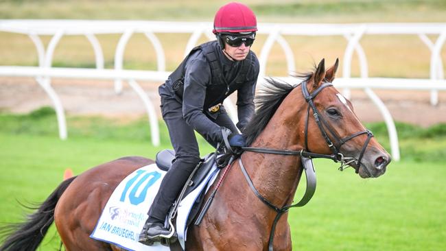 Jan Brueghel is out of the Melbourne Cup. Picture: Reg Ryan/Racing Photos via Getty Images