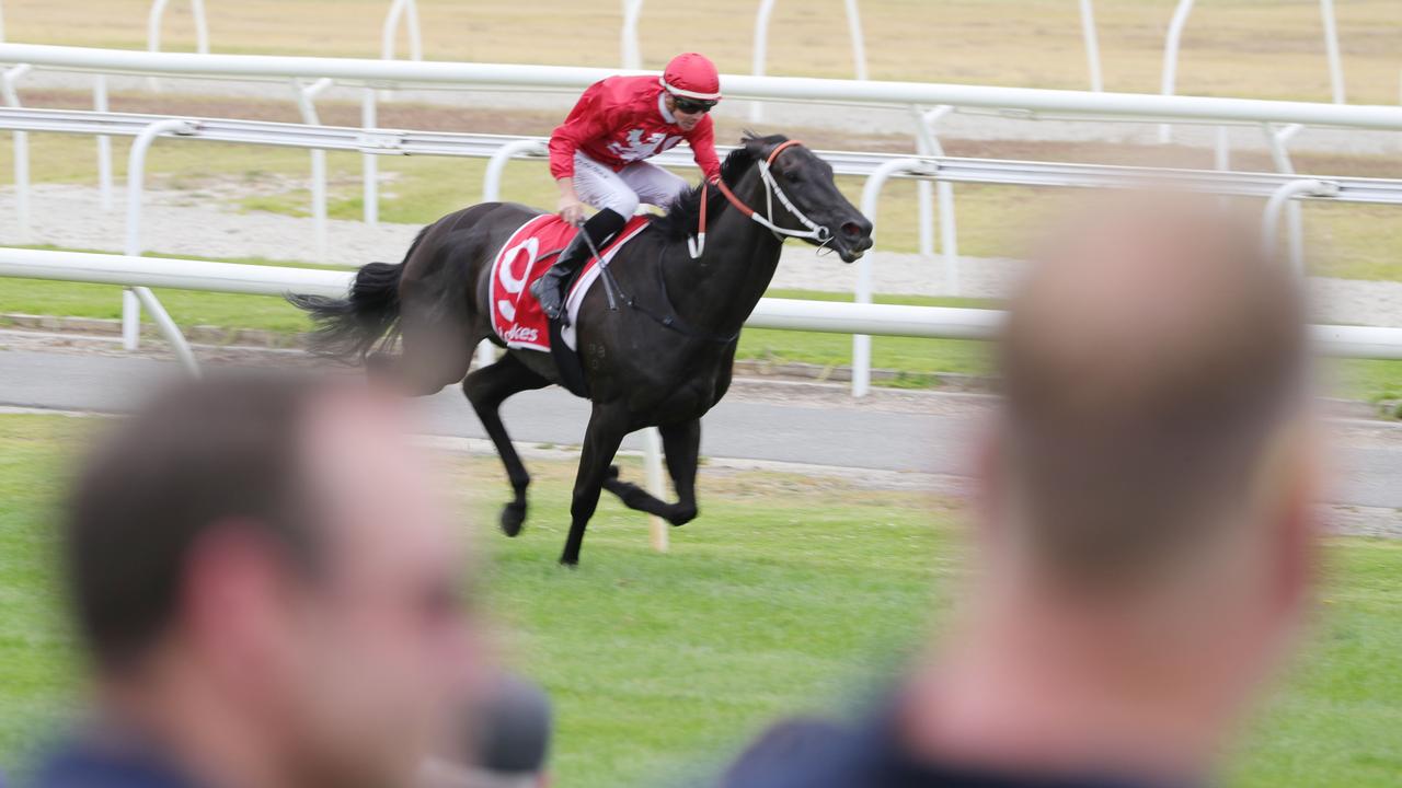 Geelong Racing Club hosted the 2025 Ladbrokes Coastal Classic on Saturday. Picture: Mark Wilson.