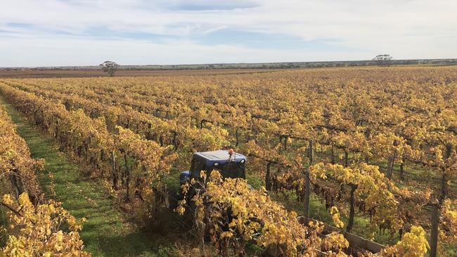 Fix plan: Murray River Organics is pursuing an aggressive five-year turnaround strategy that management hopes will deliver a profit for the ailing Victorian company.