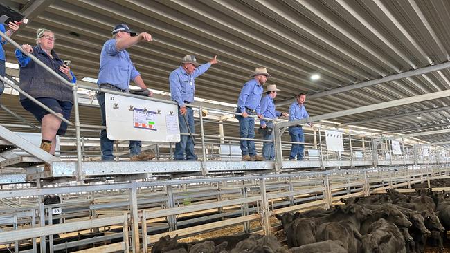 Selling action at the Wodonga store cattle sale last week where prices were judged dearer thanks to competition from three states.