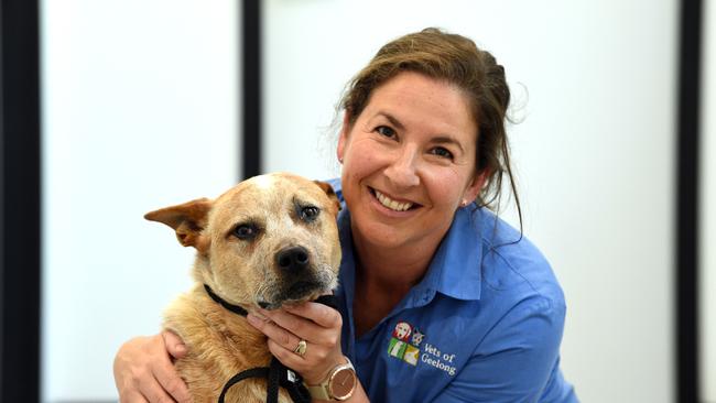 Doctor Sue Jacker from Highton Vet Clinic with dog with George. Picture: David Smith