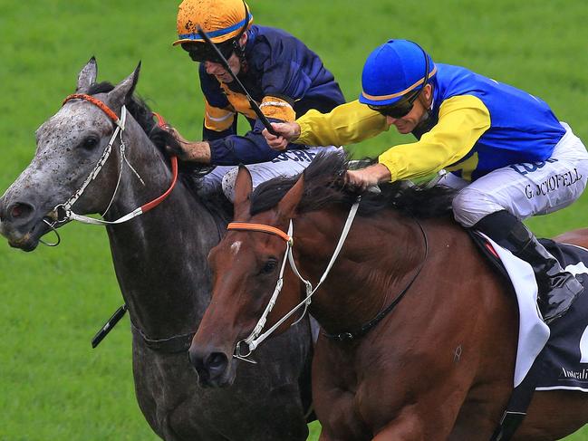 Le Romain ridden by Glyn Schofield (extreme outside) wins  race 5 in a photo finish to  Chautauqua ridden by Tommy Berry during Royal Randwick races in Sydney.  Pic Jenny Evans