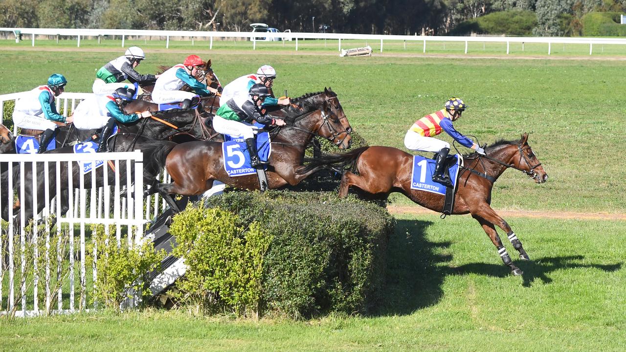 The field goes over a hedge obstacle at Casterton. Photo: Pat Scala/Getty Images.