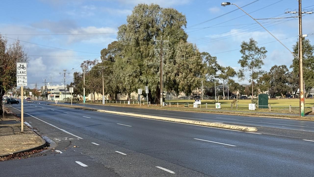 Witness’s horror after alleged hit-run crash: ‘She had a walking stick’