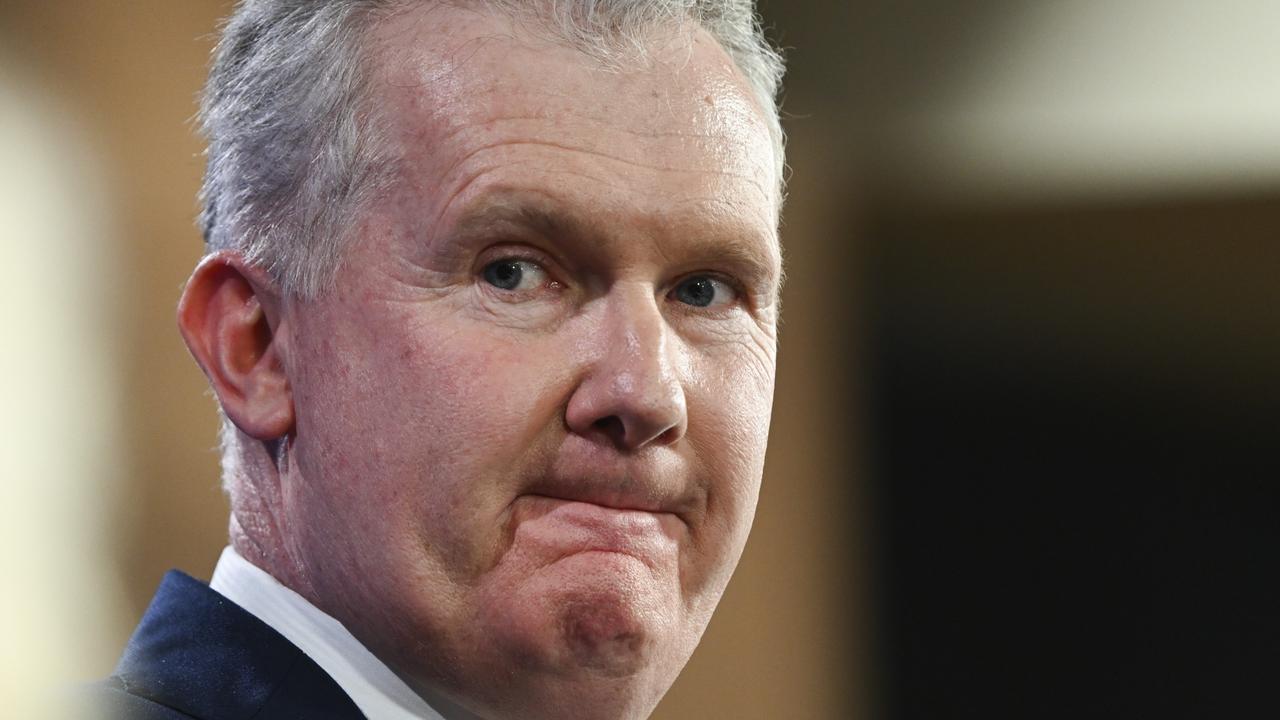 Workplace Relations Minister Tony Burke. Picture: NCA NewsWire / Martin Ollman