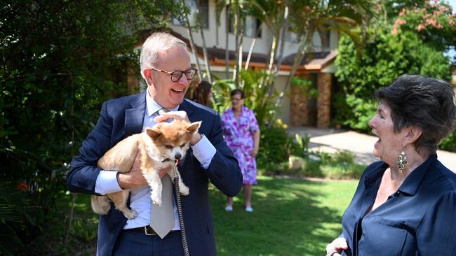 Labor leader Anthony Albanese chats with aged care resident Maureen Croghan and her dog Archie in Zillmere, in Brisbane’s north. Picture: NCA NewsWire / Dan Peled