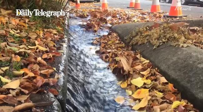 North Sydney burst water main left flowing for weeks