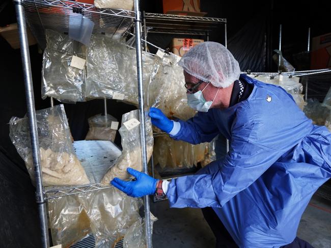 Queensland’s largest MDMA drug bust of 766kg