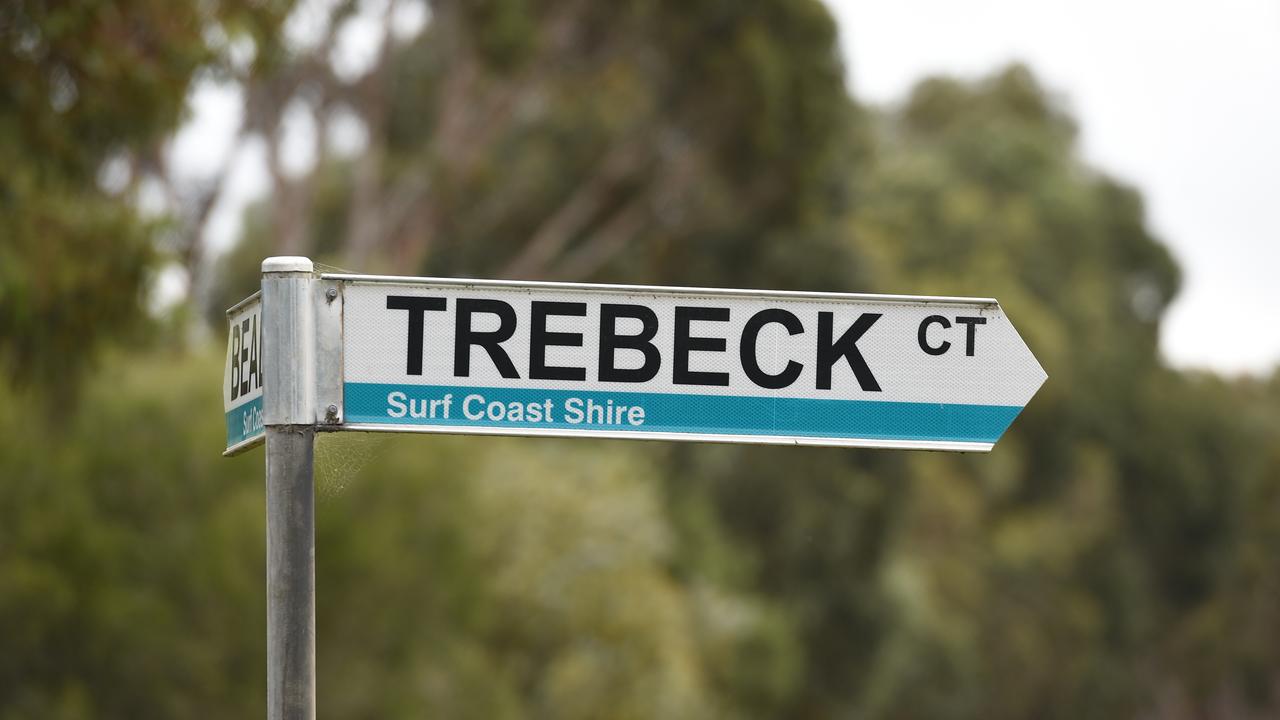More than one set of allegedly dangerous dogs lived on Trebeck Court in Winchelsea, a court has heard.