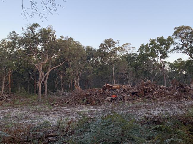 Cleared land at Point Lookout on North Stradbroke Island. Picture: Hayden Johnson